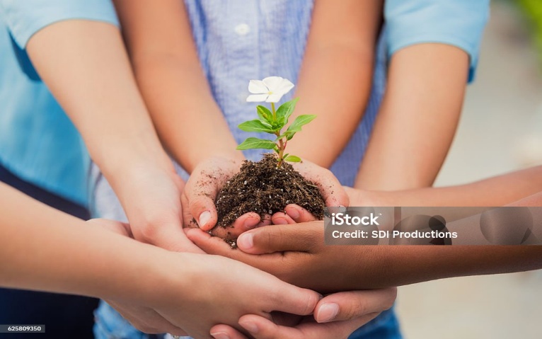 Diverse hands coming together to nurture growth